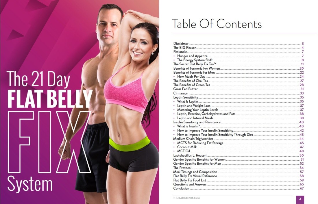the-21-day-flat-belly-fix-system-table-of-contents
